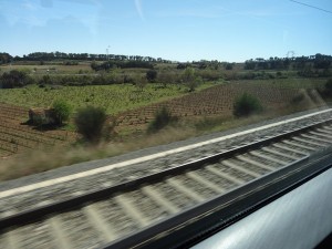 Viaja en tren a Daimiel