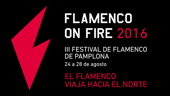 flamenco-onfire-pamplona