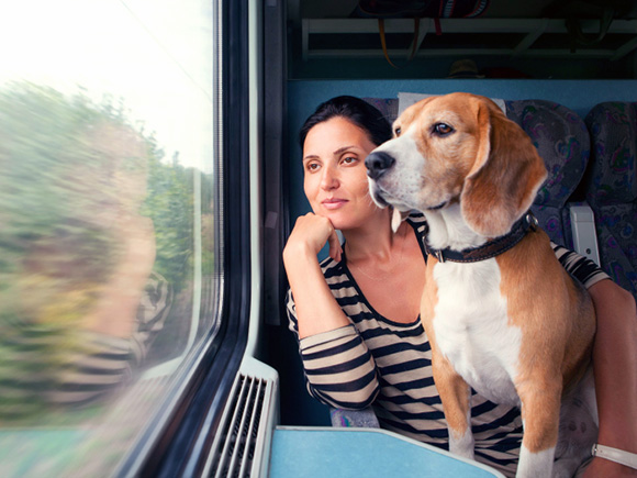 Condiciones para viajar con tu perro en el tren