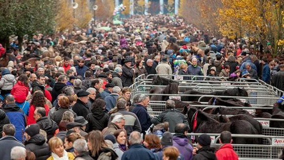 Refuerzan con 5.000 plazas los trenes para ir a la Feria de Santa Lucía de Zumárraga