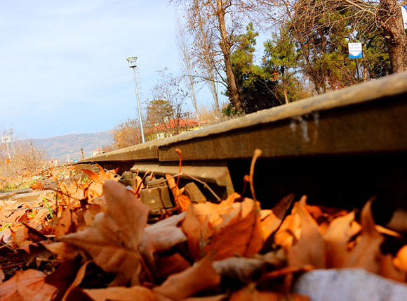 Disfruta del otoño 2018 viajando en trenes AVE