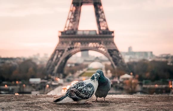 Viaje en trenes AVE a París a celebrar San Valentín 2019