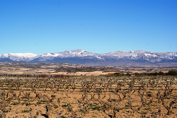 En marzo 2019 puedes viajar en trenes baratos a Logroño